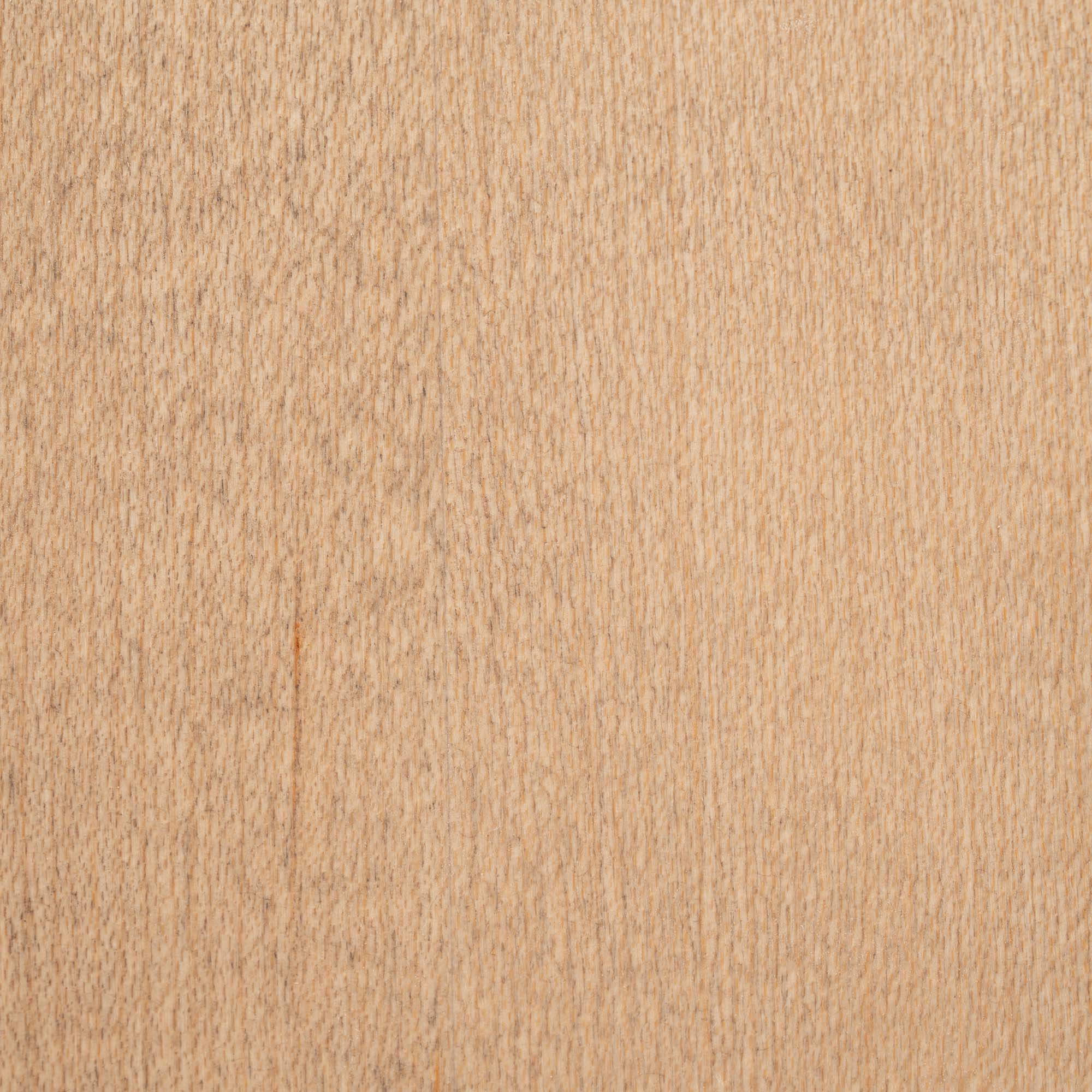 Mod Cabinetry Naturals Plus Maple Cardamom Texture